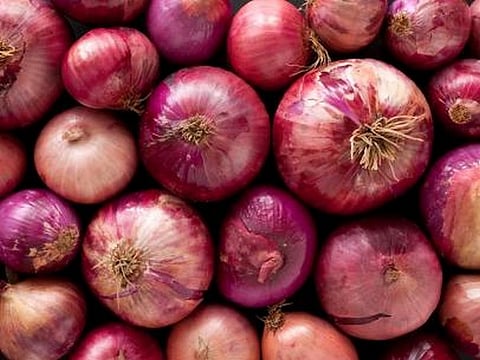 Government withdraws 20 per cent duty on onion export, decision to come into effect from April 1