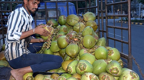 1.9 lakh acres of coconut cultivation affected by whitefly infestation: Minister M R K Panneerselvam