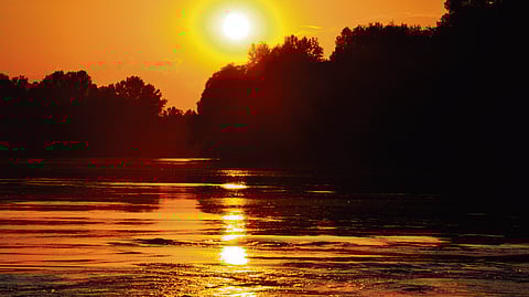 The ancient tale behind popular ayurvedic remedy