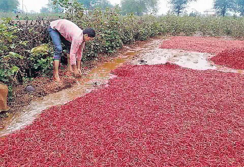 Representational picture