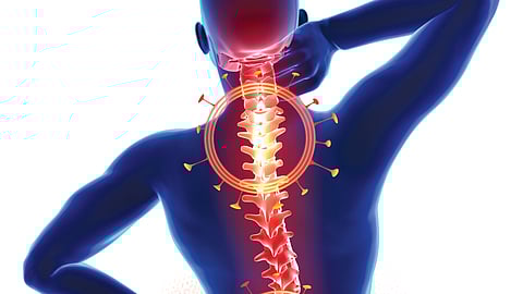 Express illustration