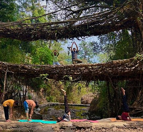 Fusion of tradition, nature, and well-being, yoga practitioners gathered for a unique session on Meghalaya’s iconic ‘Double Decker Living Root Bridge'.