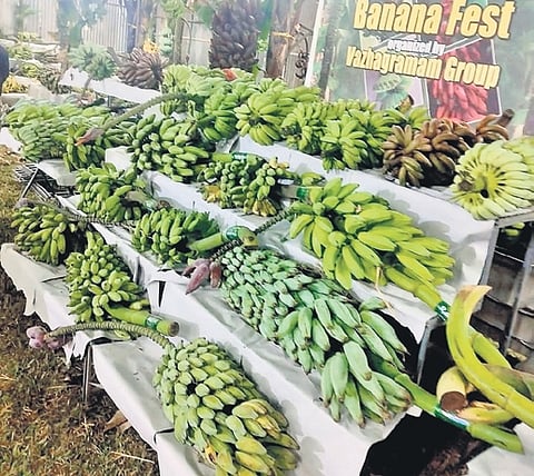A banana fest organised by Vazhagramam group 