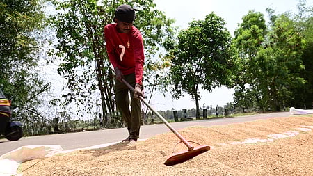 Representative Image.