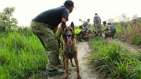 Image used for representational purpose.