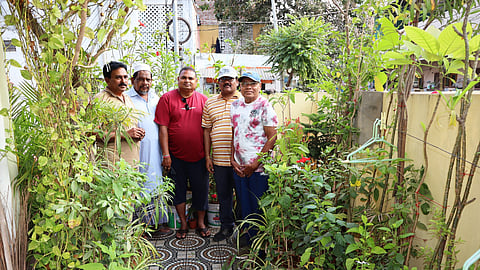 GMC is set to launch a special mobile to encourage home composting, kitchen and roof top gardens to enhance urban greenery in the city.