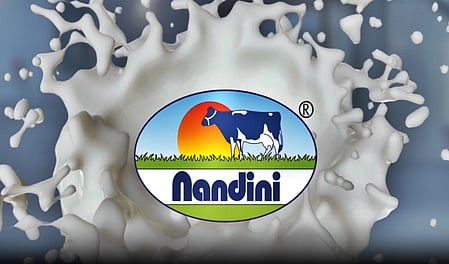 The whey-based idli and dosa batter contains 5% whey protein and is available in two pack sizes—450 grams priced at Rs 40 and 900 grams priced at Rs 80.