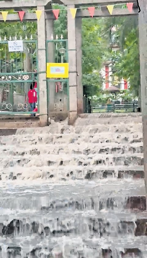 Water gushes out of Bugle Rock Park in Basavanagudi, after the pipeline burst on Thursday evening 