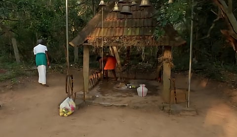 Kasampatty (Veera Kovil) Sacred Grove in Dindigul.