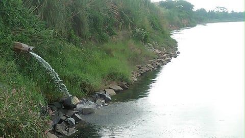 It is a common sight on a particular 300-metre stretch of the Mahanadi embankment from the bridge to the New Industrial Estate.
