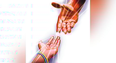 The certification process would be overseen by designated technical authorities at various levels – central, state, district, taluk, and village. 