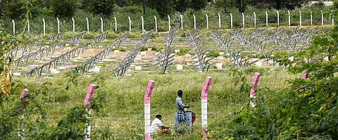 The existing 2.4 MW ground-mounted solar plant in Panjappur will remain operational.