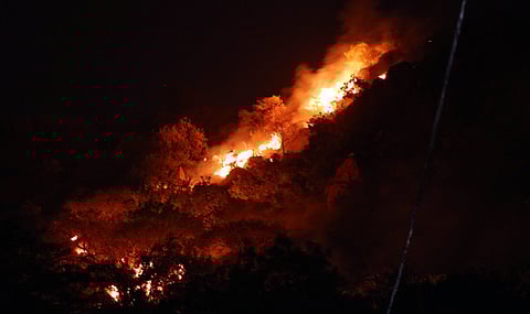 From January 1 to May 18, 2025, FSI recorded a total of 12,037 fire incidents in the State, based on satellite data from SNPP and MODIS sources.