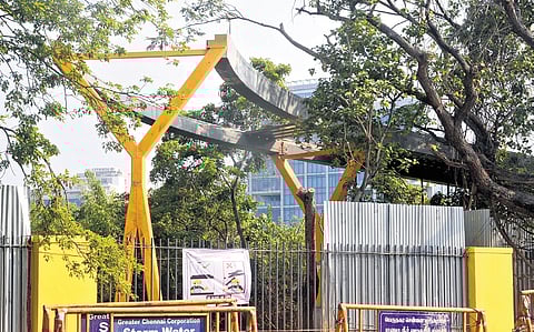 The skywalk is being constructed from the park’s first phase to the second, across Greenways Road 