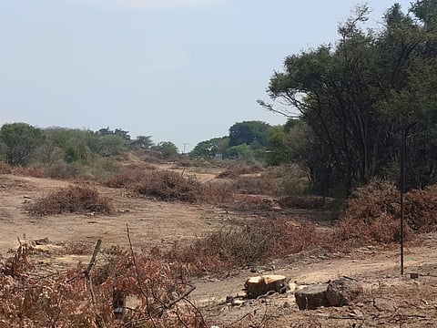 Pictures of the proposed area where the elevated highway will be constructed near Thoppur.