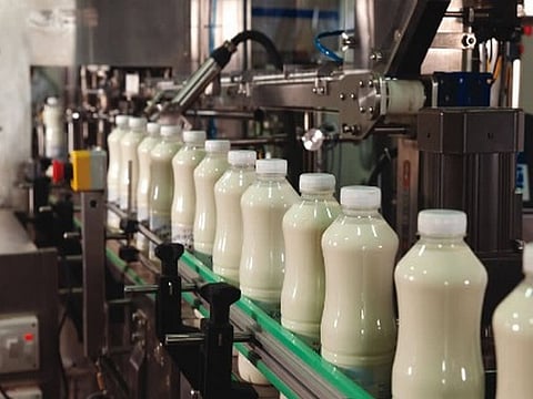 BJP infighting exposes illegal dairy operations, corruption in Gujarat
