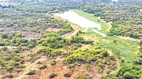 File photo showing earthmovers clearing the land at Kancha Gachabowli.