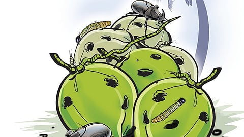 Express illustration