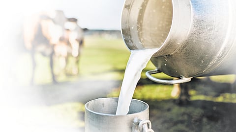 Image used for representational purposes only.