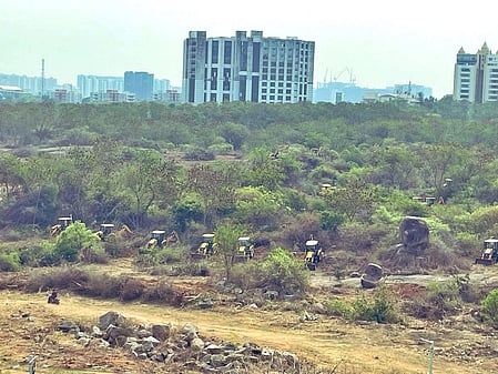 Telangana HC extends stay on tree felling near HCU till April 7