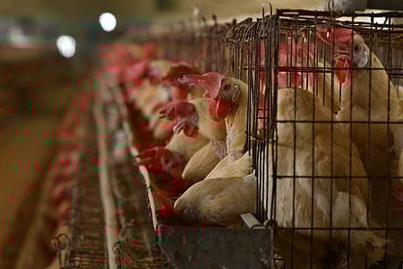 Image used for representative purposes.