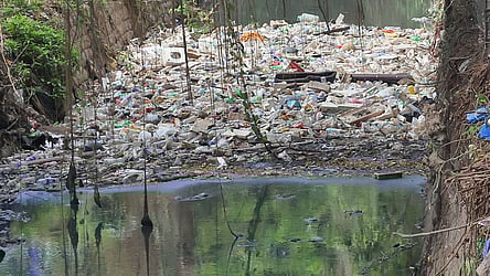 Despite enforcement there is no respite in dumping of waste in Amayizhanchan Canal.