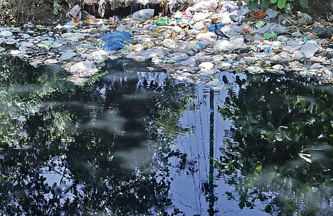 Releasing sewage and dumping of garbage has made Parvathy Puthanar one of the most polluted canal stretches in the capital. A scene from Vallakadavu near Kairali Road 
