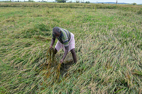 Image used for represe4ntational purpose only