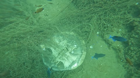 Discharged fishing nets, marine plastic litter and discharge of untreated sewage is posing a huge challenge.