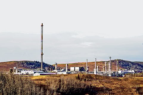 Representative picture 