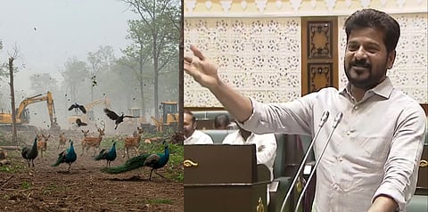 Several AI-generated visuals were circulated on social media by those protesting the state government's plan to develop IT infrastructure in the 400-acre land parcel. 