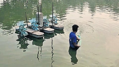 A view of an aquaculture farm in Andhra Pradesh