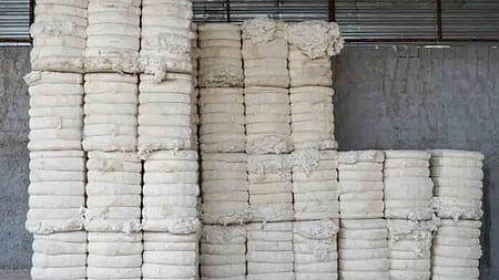 Image of cotton used for representational purposes only. 