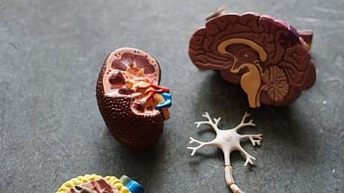 Instead, doctors opted for the retroperitoneal route a highly specialised method that avoids entering the abdominal cavity