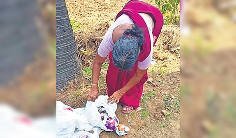 Waste dumped near a paddy field on Dubai Road in Thirumittacode panchayat in Palakkad