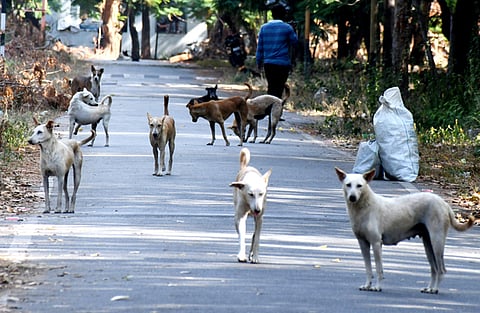 Image used for representational purposes. 