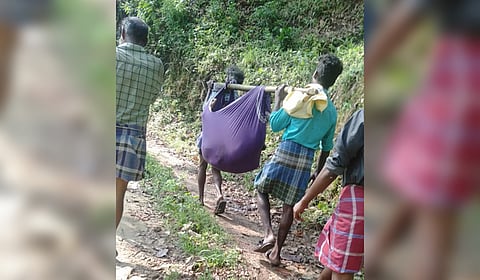 Villagers carried S Rajini (17) in a ‘doli’ for 10 km to Sothuparai for an ambulance, on Tuesday.