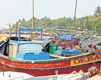 Boats anchored at Kharinashi fishing jetty in Kendrapara district.