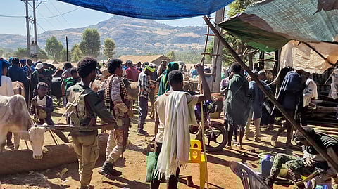 Fano militia members patrol Sangi livestock market, in the Amhara region of northern Ethiopia, Sunday, Jan. 23, 2025