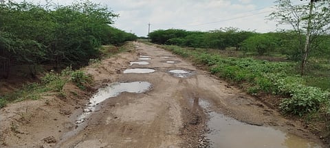 Representative image