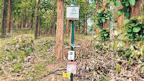 The AI-powered Wild Watch surveillance system installed in Wayanad.
