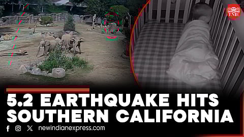 5.2 magnitude earthquake strikes San Diego in US' Southern California