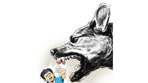 Image used for representational purposes only.