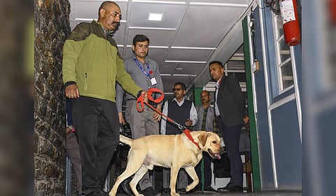 Security personnel check the Secretariat building after it received a bomb threat via email, in Shimla.