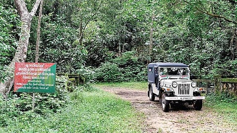 The entry point of Old Munnar Road at Pooyamkutty was blocked by the Forest department in 2012. 