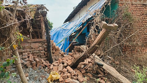 Three wild elephants from Chhattisgarh wreck havoc in Madhya Pradesh's Anuppur