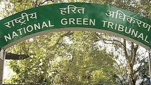 NGT orders probe into alleged violations in black stone quarry in Odisha