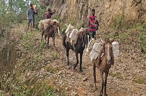 PDS shop workers transported provisions from Kodaikanal to Vettakanal, a distance of 11 km and later deployed horses from Vettakanal to Vellagavi (5km) to deliver the items.