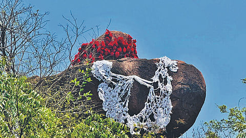 Dr Avani Rao Gandra’s installation