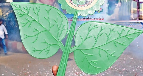 AIADMK symbol used for representational purposes only